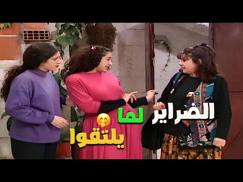 الضراير لما يلتقوا