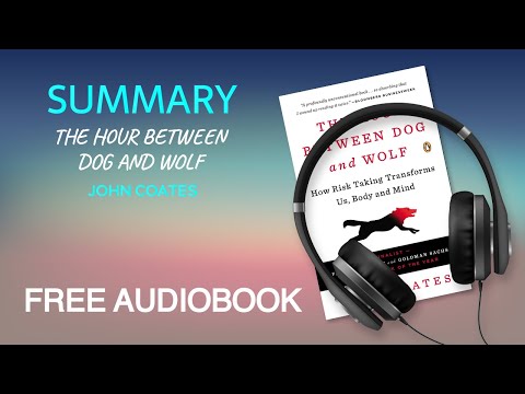 Video: The Hour Between The Wolf And The Dog - Alternative View