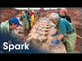 Uncovering The Skeleton Of A Rare Blue Whale | Raising Big Blue | Spark