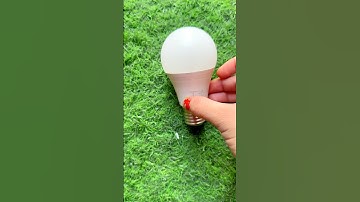 Fuse led bulb💡reuse idea. Don’t throw fuse bulbs #bulbcrafts #wastematerialcraft #outofwaste