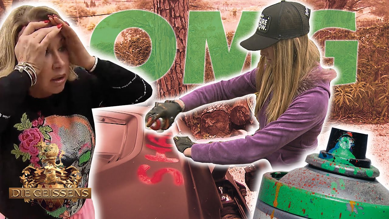 OMG - Shania Geiss sprayed das Auto an 😱🎨 I Die Geissens