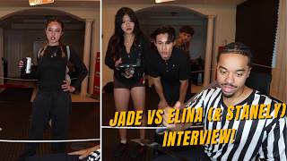 Arky Interviews Elina, Stanley & Jade Paws - ARK Boxing!