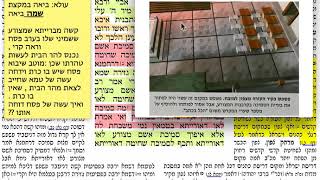 זבחים דף לג 33 רביעי ב׳ סיון  תשע״ח - הדף היומי מסכת זבחים