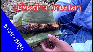 เกี่ยวข้าวไป ชื่นชมไป ทุ่งนาเกษตรอินทรีย์ ปลอดสารเคมี 100% | เกษตรกรชาวบ้าน