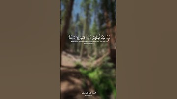 - ولو يؤاخذ الله الناس بضلمهم - القارئ الشيخ ياسر الدوسري