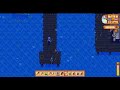 Stardew valley
