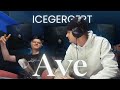 Реакция на ICEGERGERT - Ave
