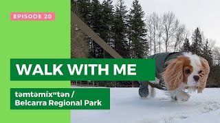 Dog TV - Stalking Snow Covered Trees and Lakes in Port Moody, British Columbia by Tantissimo the Cavie 162 views 2 years ago 3 minutes, 41 seconds