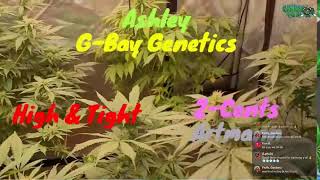 Tuesday Night Toke 9/23/25