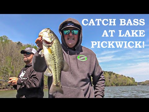 CATCH BASS AT PICKWICK LAKE! Let's Fish #13 SW Pickwick Lake Alabama Bass Fishing