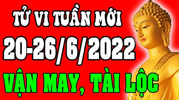 Tử vi 12 con giáp Tuần mới 20-26/6/2022 - Vận Mệnh, Tài Lộc, Công Việc, Tình Duyên, Sức Khỏe