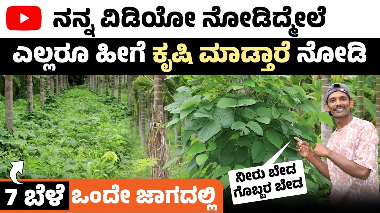 ಒಂದೇ ಜಾಗದಲ್ಲಿ ಬೆಳೆತಿರುವಿಕೆ ಮಾಡಿ, ಗೆದ್ದ ಮಾದರಿ ರೈತ! Crop Rotation Technique 2025 in Kannada