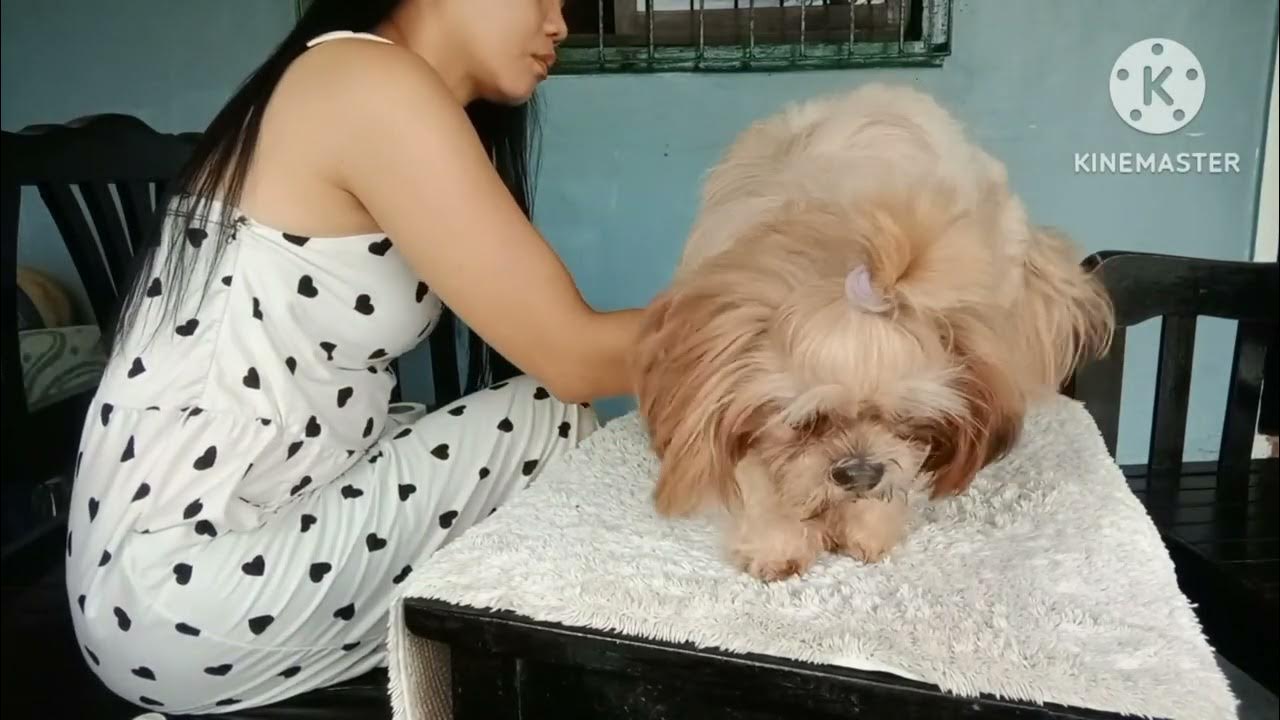 ROUTINE EVERYDAY Kay Kiwi Para Malinis Once A Week Lang Siya Maligo routine-everyday-kay-kiwi-para-malinis-once-a-week-lang-siya-maligo