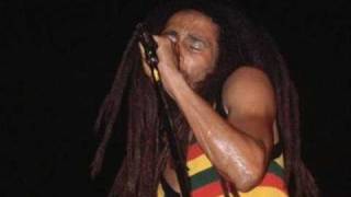 Watch Bob Marley Black Progress video