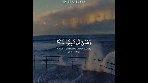 (و عسى ان تكرهوا شيئا وهو خير لكم وعسى أن تحبوا شيئا وهو شر لكم )سورة البقرة_فارس عباد