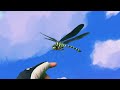 Beginning of video