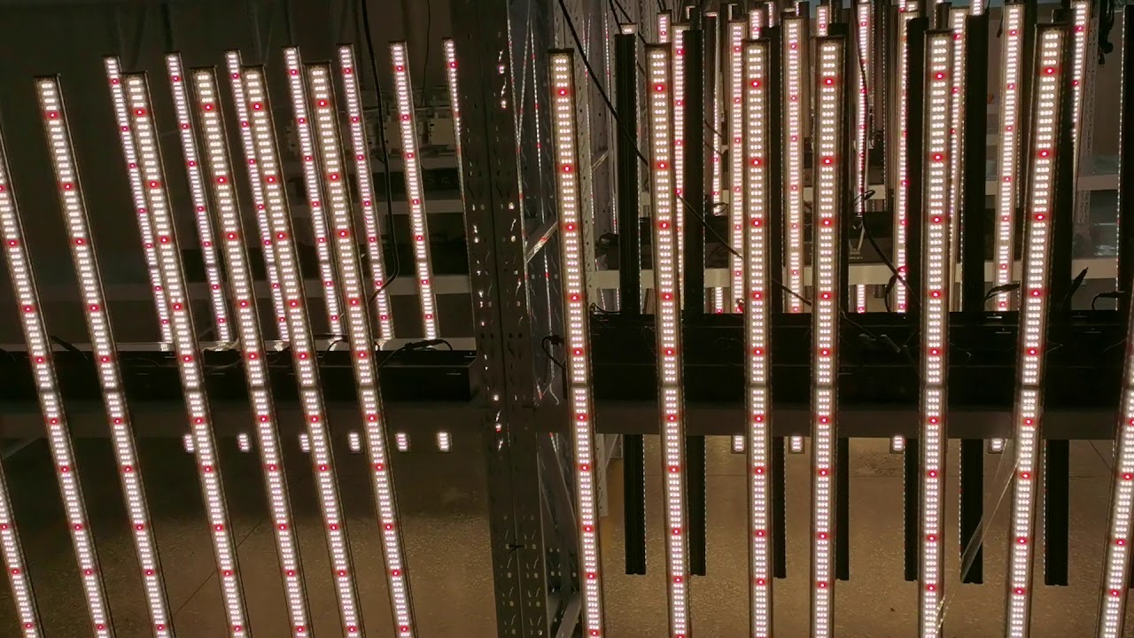 Ideagrow samsung led bar osram greenhouse led grow light---Idea Light