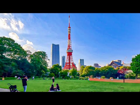 Tokyo, Japan | Zojo ji Temple | Walking Tour 4K