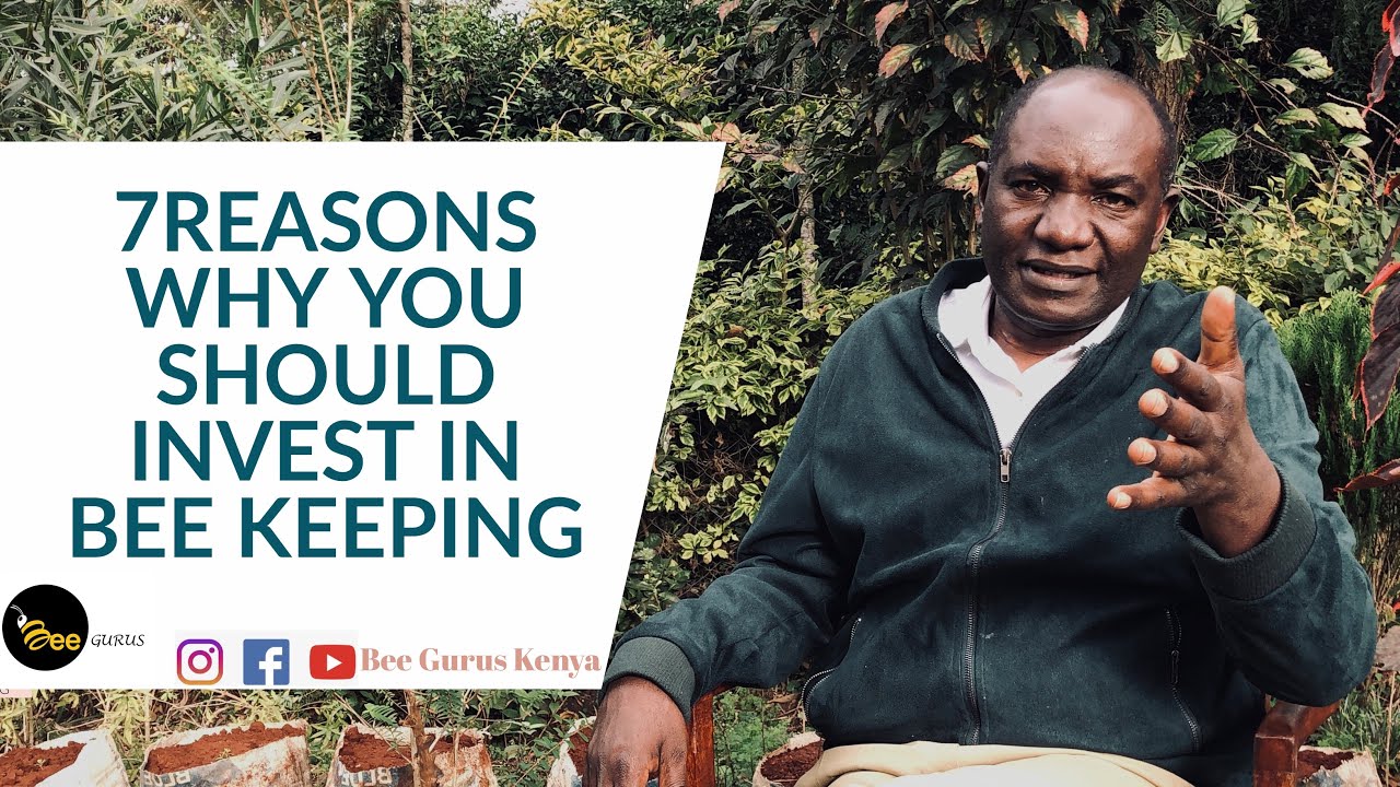 7 REASONS WHY YOU SHOULD INVEST IN BEE KEEPING - BEE GURUS
