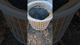 cheap planters from dollar tree laundry baskets!