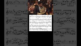 Glière: Concerto for Horn and Orchestra inB flat major, Op. 91 | Zeng Yun