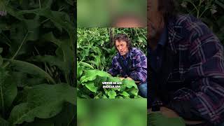 Want faster compost?