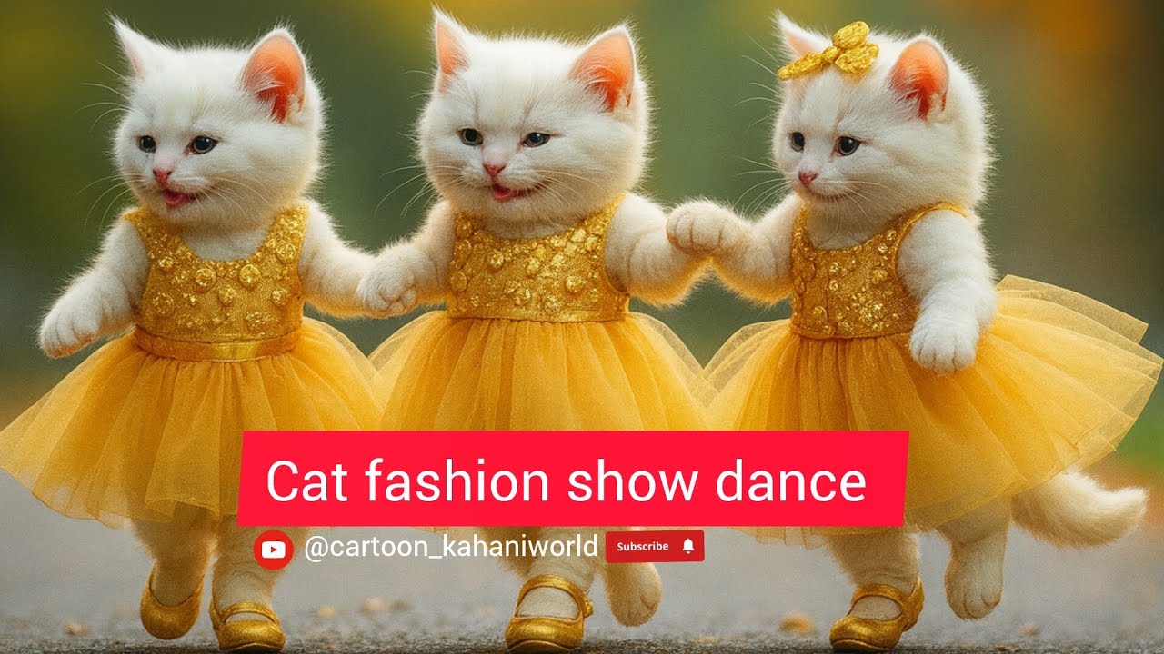 Stylish cat Dress dance | trading cat fashion show 2025 💃🏻✨ 