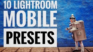 10 Lightroom MOBILE Presets Pack [FREE] screenshot 5