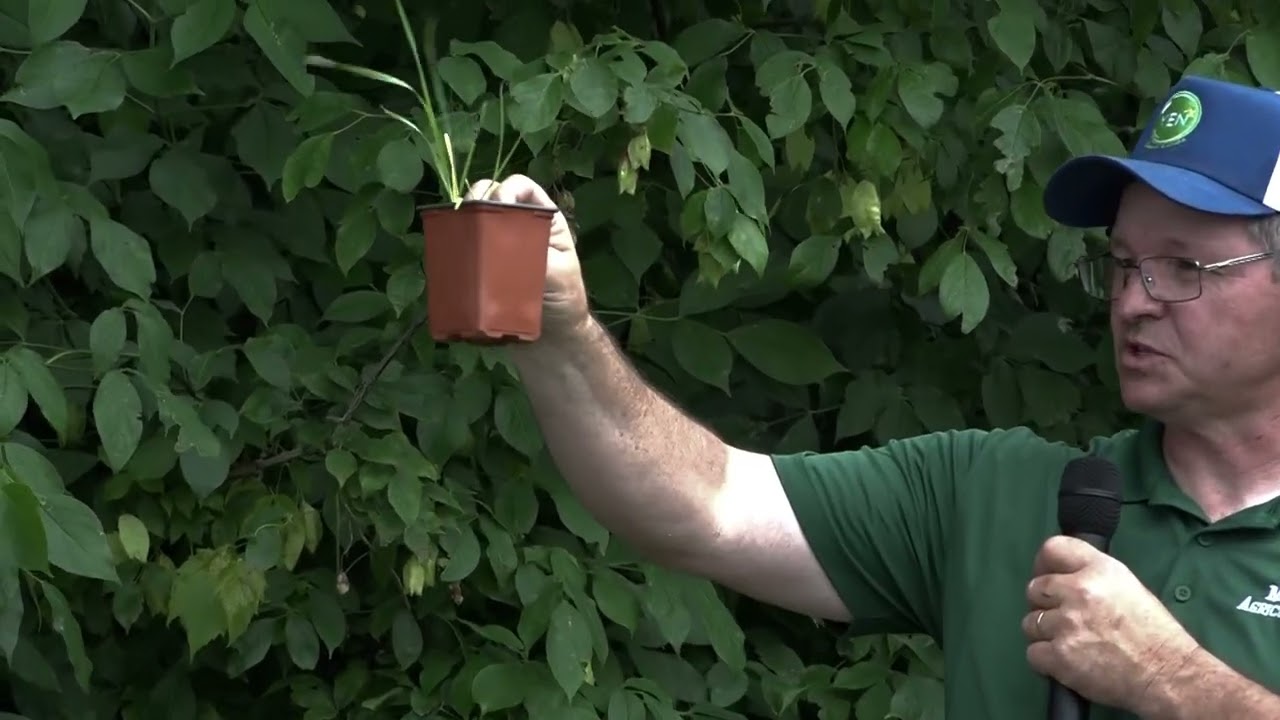 MI Wheat 2025 Field Day - Key Growth Stages and Timing of Management