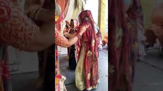 Rajasthani dance festival|| dance || new haryanavi dance dancevideo rajasthanisong shortsviral