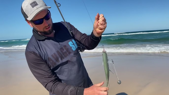 Surf / Beach Fishing for tailor, trevally, dart and queenfish with