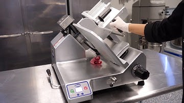 Globe S13A-FRZN Spotlight