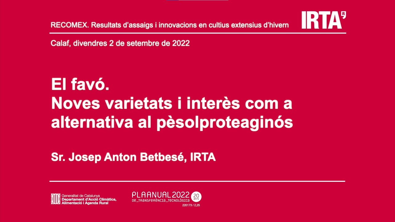 El favó, Noves varietats i interès com a alternativa al pèsol proteaginós.