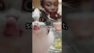 Kenapa Mata Kucing Bisa Mengembang #shortsfeed #shortsvideo #kucing #kucinglucu #faktaunik