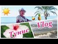 Тунис 2019 ☀️ Отель Sol Azur Beach 🌴 Все включено 🍹🍍