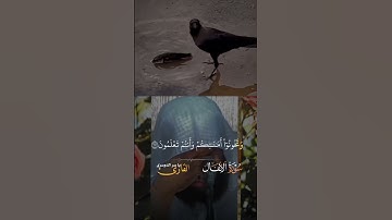 القرآن الكريم بصوت ياسر الدوسري