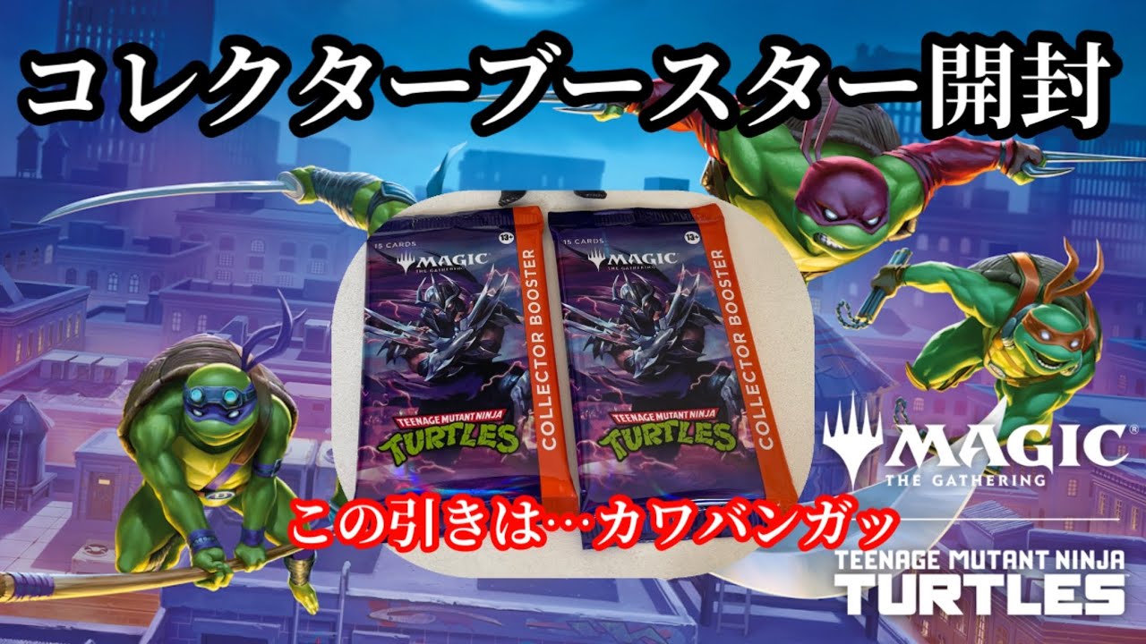 【MTG】ミュータントタートルズコレクターブースター開封くま