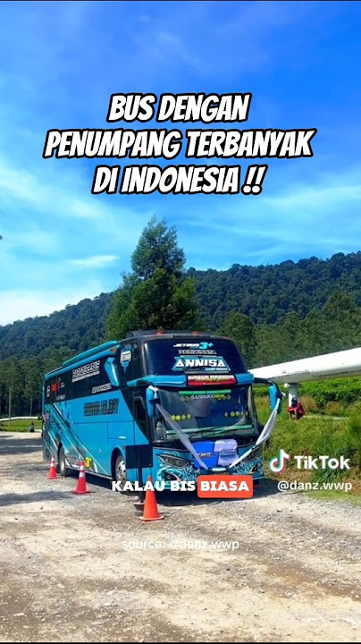 The Bus with the Most Passengers in Indonesia ⁉️#automobile #busmania #automotive #shortsvideo #b...