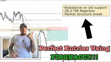How To Get PERFECT Forex Entries Using FIBONACCI (INSANE) -Mamba