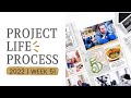 Project Life Layout Week 51 | DT Studio Calico You&#39;ve Got Mail Unboxing 2023