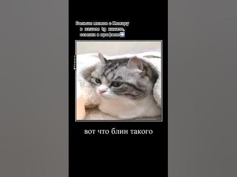 #комару - YouTube