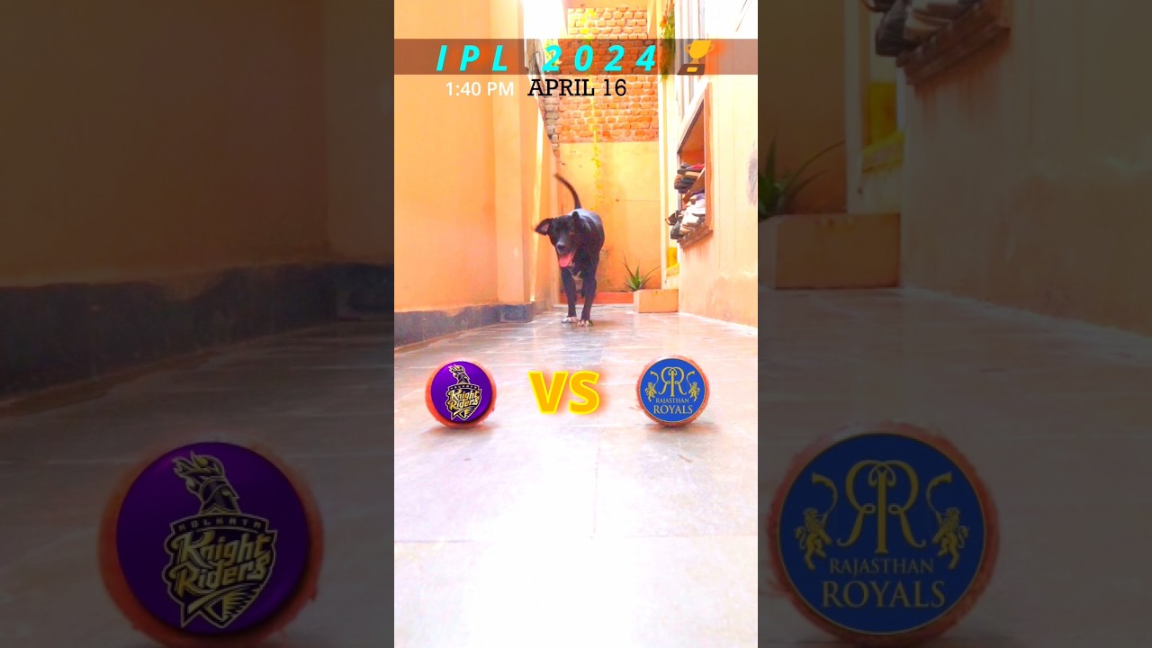 KKR VS RR MATCH PREDICTION | IPL 2024 | MATCH NO.31 |
