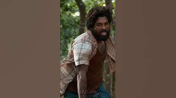 #AlluArjun Birthday Special || Vertical Whatsapp status || HD #alluarjun #alluarjunstatus