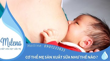 Cơ Thể Mẹ Sản Xuất Sữa Mẹ Như Thế Nào? | Milena