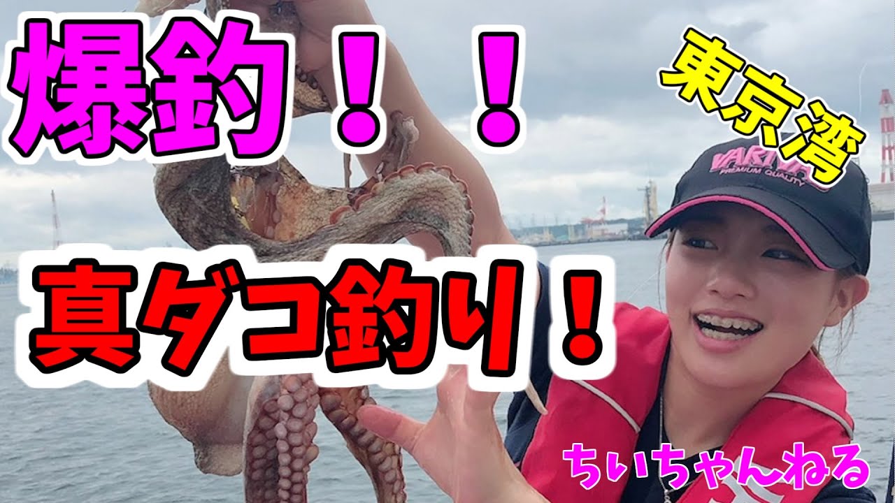 海快晴ニュース ちーちゃんフィッシング倶楽部 真ダコ釣り 豚肉巻いて爆釣 エギタコ