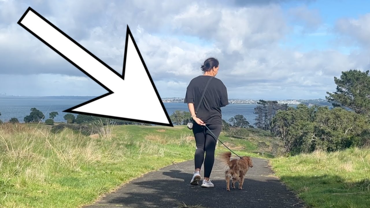 How to teach your dog to walk on one side, stop zigzagging & tripping you up!