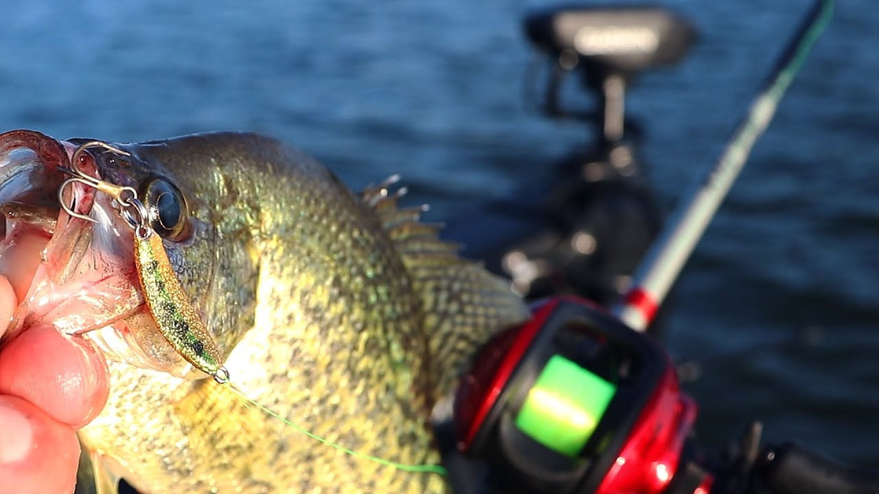 Jigging Spoons for Crappie in the Summer (Fishing a brush pile