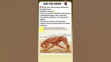 Revolved triangle pose? #shorts #facts