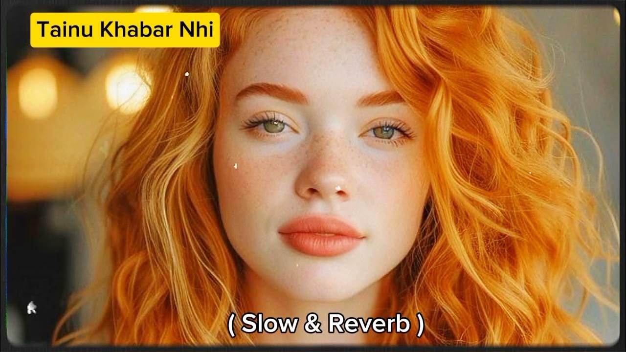 Tainu khabar nhi song slow and reverb new song 2024 slow and