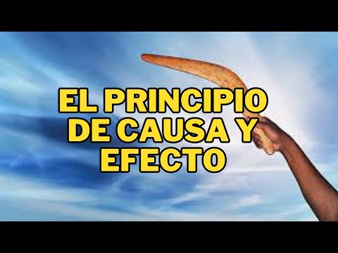 LOS SIETE PRINCIPIOS UNIVERSALES.PRINCIPIO 6 - YouTube